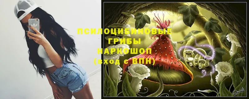 сколько стоит  Иннополис  мега зеркало  Галлюциногенные грибы MAGIC MUSHROOMS 